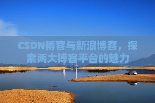 CSDN博客与新浪博客，探索两大博客平台的魅力